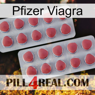 Pfizer Viagra 19